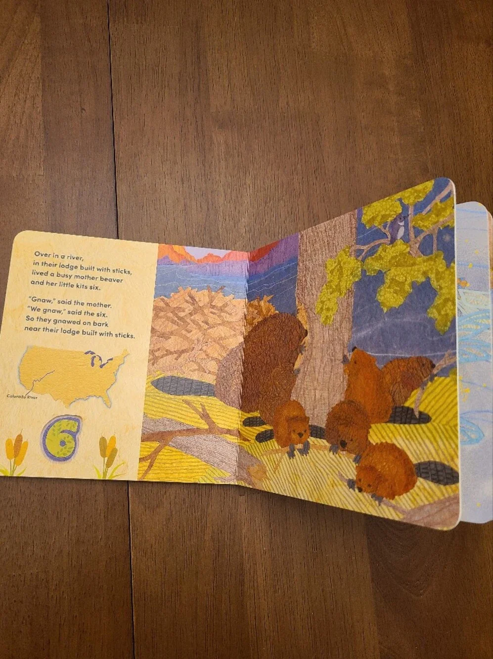 Over in a River Children's Board Book - Marianne Berkes Like New